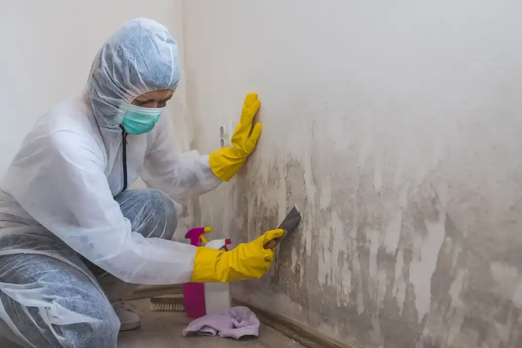 water damage restoration service Stony Run